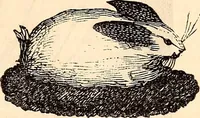 An illustration from Godey's lady's book (1840)