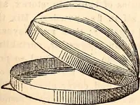 An illustration from Godey's lady's book (1840)