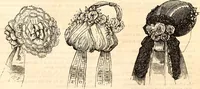 An illustration from Godey's lady's book (1840)