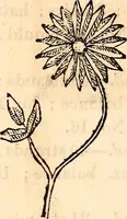 An illustration from Godey's lady's book (1840)