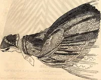 An illustration from Godey's lady's book (1840)