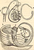 An illustration from Godey's lady's book (1840)