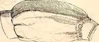 An illustration from Godey's lady's book (1840)