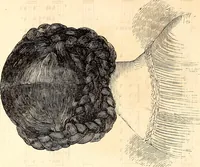 An illustration from Godey's lady's book (1840)