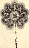 An illustration from Godey's lady's book (1840)
