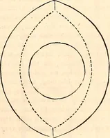 An illustration from Godey's lady's book (1840)
