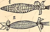 An illustration from Godey's lady's book (1840)