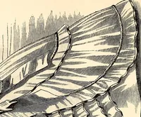 An illustration from Godey's lady's book (1840)
