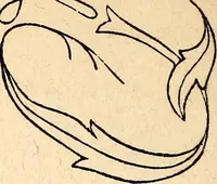 An illustration from Godey's lady's book (1840)