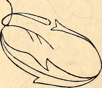An illustration from Godey's lady's book (1840)