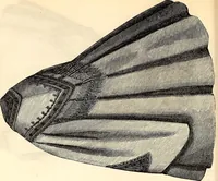 An illustration from Godey's lady's book (1840)