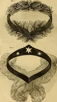 Picture 461 of 543 from Godey's lady's book 1861 Jan -June; Jul - Dec (1861), leaf 1030
