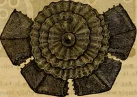 An illustration from Godey's lady's book 1861 Jan -June; Jul - Dec (1861)