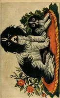 Picture 52 of 543 from Godey's lady's book 1861 Jan -June; Jul - Dec (1861), leaf 111