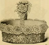 Picture 513 of 543 from Godey's lady's book 1861 Jan -June; Jul - Dec (1861), leaf 1131