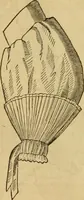 Picture 77 of 543 from Godey's lady's book 1861 Jan -June; Jul - Dec (1861), leaf 176