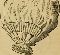 An illustration from Godey's lady's book 1861 Jan -June; Jul - Dec (1861)