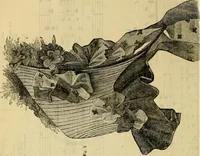 An illustration from Godey's lady's book 1861 Jan -June; Jul - Dec (1861)