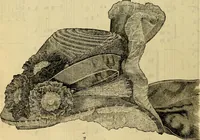 Picture 112 of 543 from Godey's lady's book 1861 Jan -June; Jul - Dec (1861), leaf 222