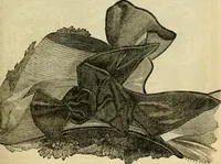 An illustration from Godey's lady's book 1861 Jan -June; Jul - Dec (1861)