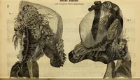 Picture 159 of 543 from Godey's lady's book 1861 Jan -June; Jul - Dec (1861), leaf 324
