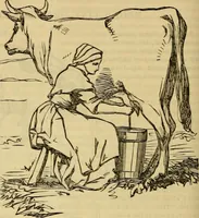 An illustration from Godey's lady's book 1861 Jan -June; Jul - Dec (1861)