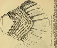 An illustration from Godey's lady's book 1861 Jan -June; Jul - Dec (1861)