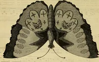 An illustration from Godey's lady's book 1861 Jan -June; Jul - Dec (1861)