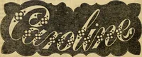 Picture 234 of 543 from Godey's lady's book 1861 Jan -June; Jul - Dec (1861), leaf 488
