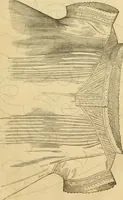 Picture 257 of 543 from Godey's lady's book 1861 Jan -June; Jul - Dec (1861), leaf 531