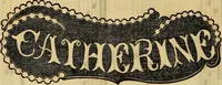 Picture 337 of 543 from Godey's lady's book 1861 Jan -June; Jul - Dec (1861), leaf 744