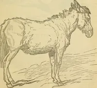 An illustration from Godey's lady's book 1861 Jan -June; Jul - Dec (1861)