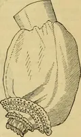 An illustration from Godey's lady's book 1861 Jan -June; Jul - Dec (1861)