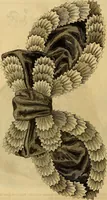 Picture 430 of 503 from Godey's lady's book 1862 Jan -June; Jul - Dec (1862), leaf 1042