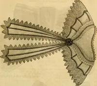 Picture 471 of 503 from Godey's lady's book 1862 Jan -June; Jul - Dec (1862), leaf 1145
