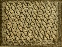 Picture 493 of 503 from Godey's lady's book 1862 Jan -June; Jul - Dec (1862), leaf 1209