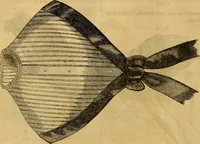 Picture 70 of 503 from Godey's lady's book 1862 Jan -June; Jul - Dec (1862), leaf 180
