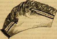 An illustration from Godey's lady's book 1862 Jan -June; Jul - Dec (1862)