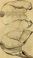 Picture 7 of 503 from Godey's lady's book 1862 Jan -June; Jul - Dec (1862), leaf 20
