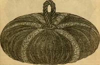 Picture 111 of 503 from Godey's lady's book 1862 Jan -June; Jul - Dec (1862), leaf 279