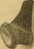Picture 117 of 503 from Godey's lady's book 1862 Jan -June; Jul - Dec (1862), leaf 284