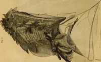 An illustration from Godey's lady's book 1862 Jan -June; Jul - Dec (1862)