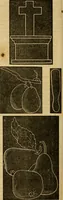 Picture 176 of 503 from Godey's lady's book 1862 Jan -June; Jul - Dec (1862), leaf 476