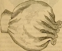 An illustration from Godey's lady's book 1862 Jan -June; Jul - Dec (1862)