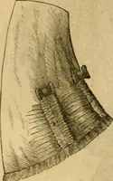 An illustration from Godey's lady's book 1862 Jan -June; Jul - Dec (1862)