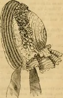 Picture 186 of 503 from Godey's lady's book 1862 Jan -June; Jul - Dec (1862), leaf 479