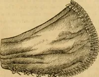 An illustration from Godey's lady's book 1862 Jan -June; Jul - Dec (1862)