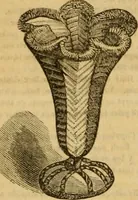 An illustration from Godey's lady's book 1862 Jan -June; Jul - Dec (1862)