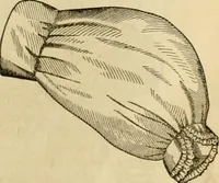 Picture 272 of 503 from Godey's lady's book 1862 Jan -June; Jul - Dec (1862), leaf 689