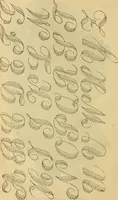 An illustration from Godey's lady's book 1862 Jan -June; Jul - Dec (1862)